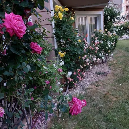 Apartment Dpark Sunny Beach